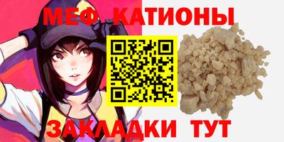 индика Дубна