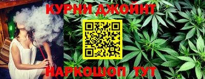 индика Дубна