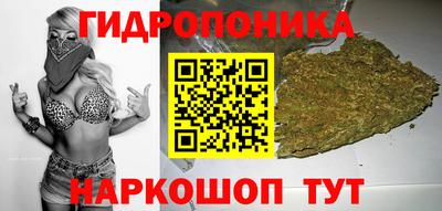 твердый Донецк